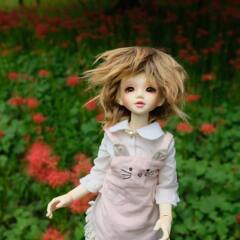 7cfaad71eb474f5be9575a62b9e4b366