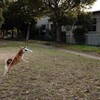 ナイスキャッチ1