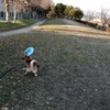 ナイスキャッチ