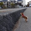ジャンプ２
