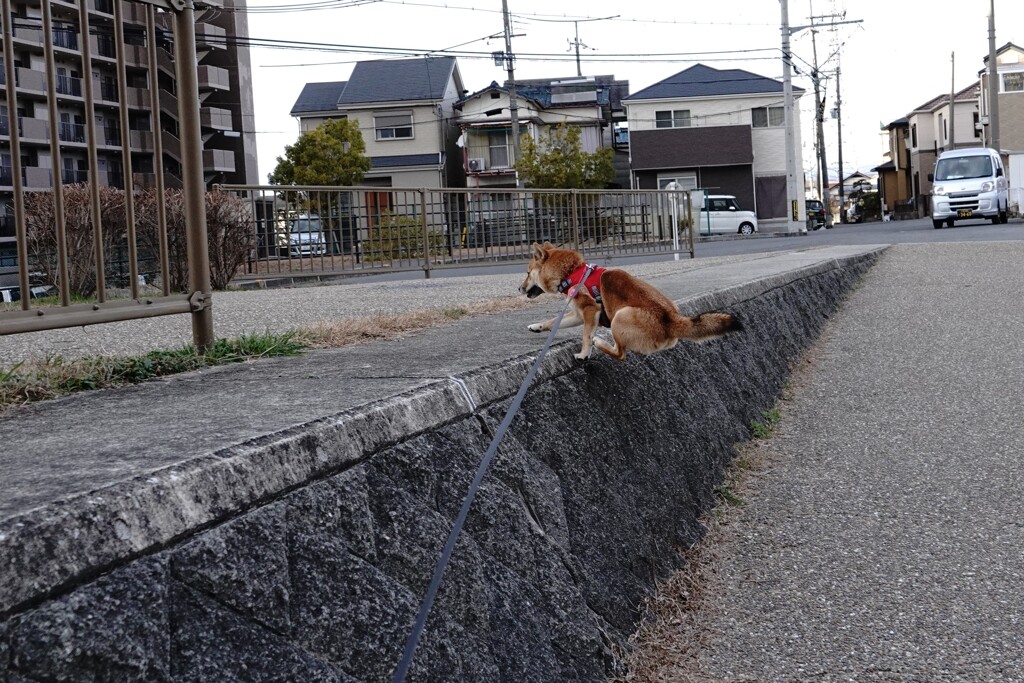 ジャンプ４