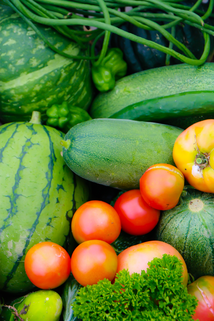 夏　野菜