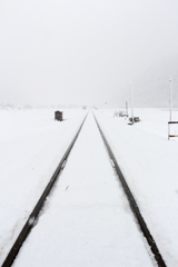 雪の線路