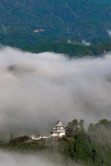 雲海の郡上八幡城