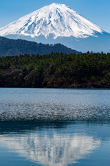 富士山西湖