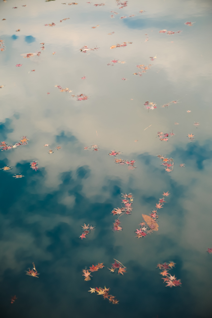水面の紅葉