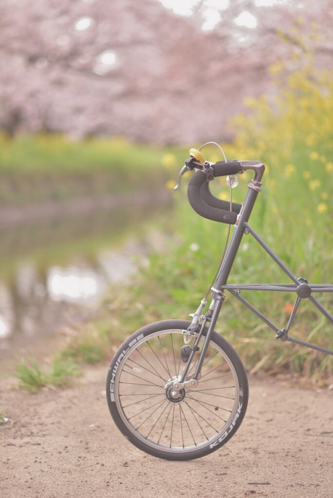 春のサイクリング