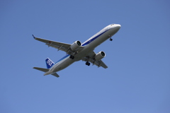 初めての飛行機撮影