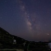 今年もこの時期