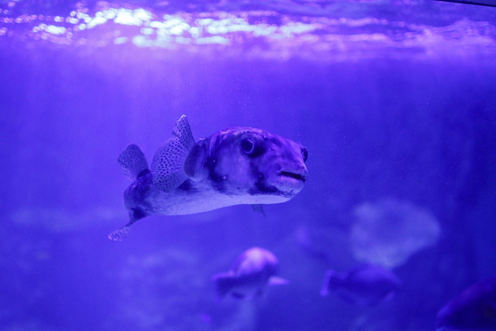 何見てんだよ