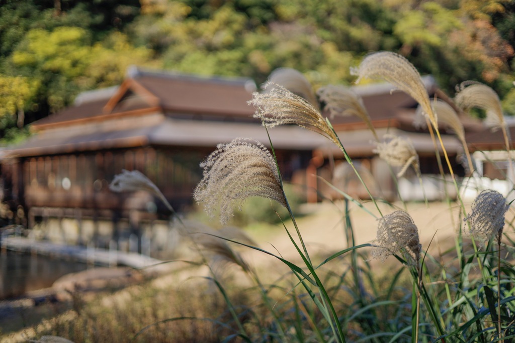DD7B9DD7-6B5C-4993-B854-1825F878932A