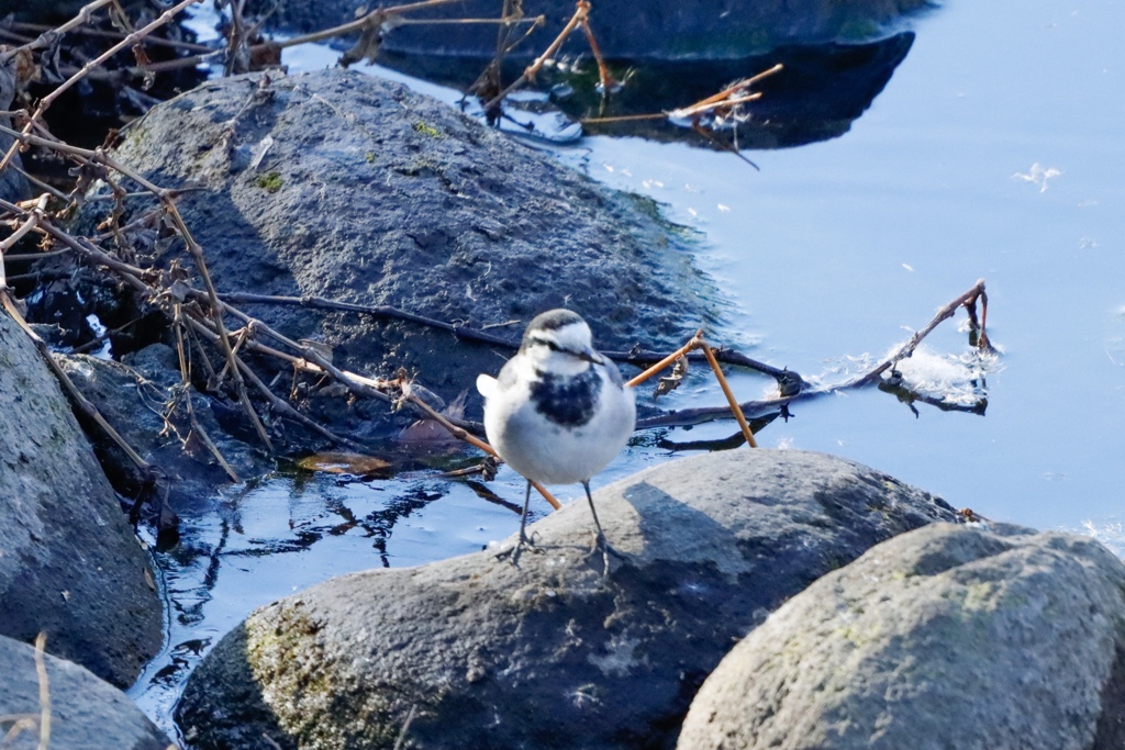 5BF0AA10-0EF6-49C2-915D-B4D05A406DCD