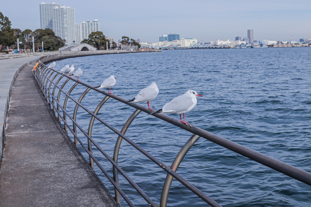 単焦点の限界？！