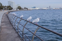 単焦点の限界？！