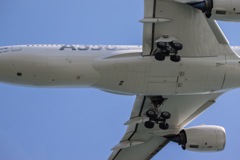 下からパシャリ