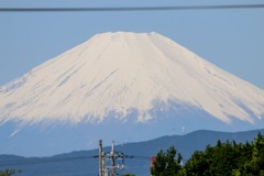 望遠ズームの恩恵