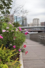 横浜お散ん歩③