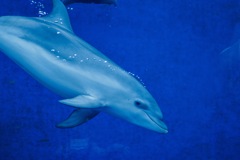 C83E68D2-C5F7-4F20-9B87-02E2D84D44D8