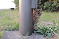 隠れてるつもり？！（笑）