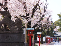 春の神社