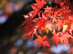 20191115_232420