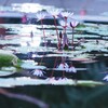 水鏡