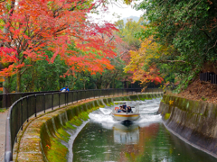 紅葉と船