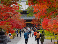 紅葉と南禅寺