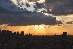 夕景　文京区シビックセンターより