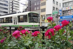 都営荒川線 @大塚駅前