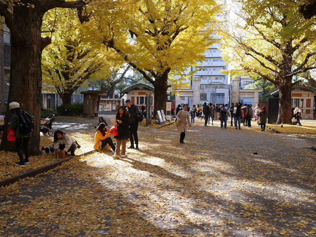 東京大学　正門付近