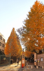 お茶の水女子大学　正門