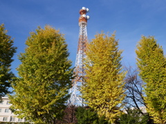 20191117