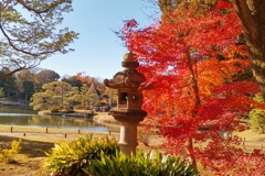 六義園_秋_1