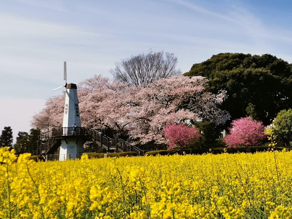 見晴公園 @さいたま市北区