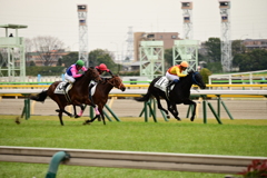 東京競馬場04