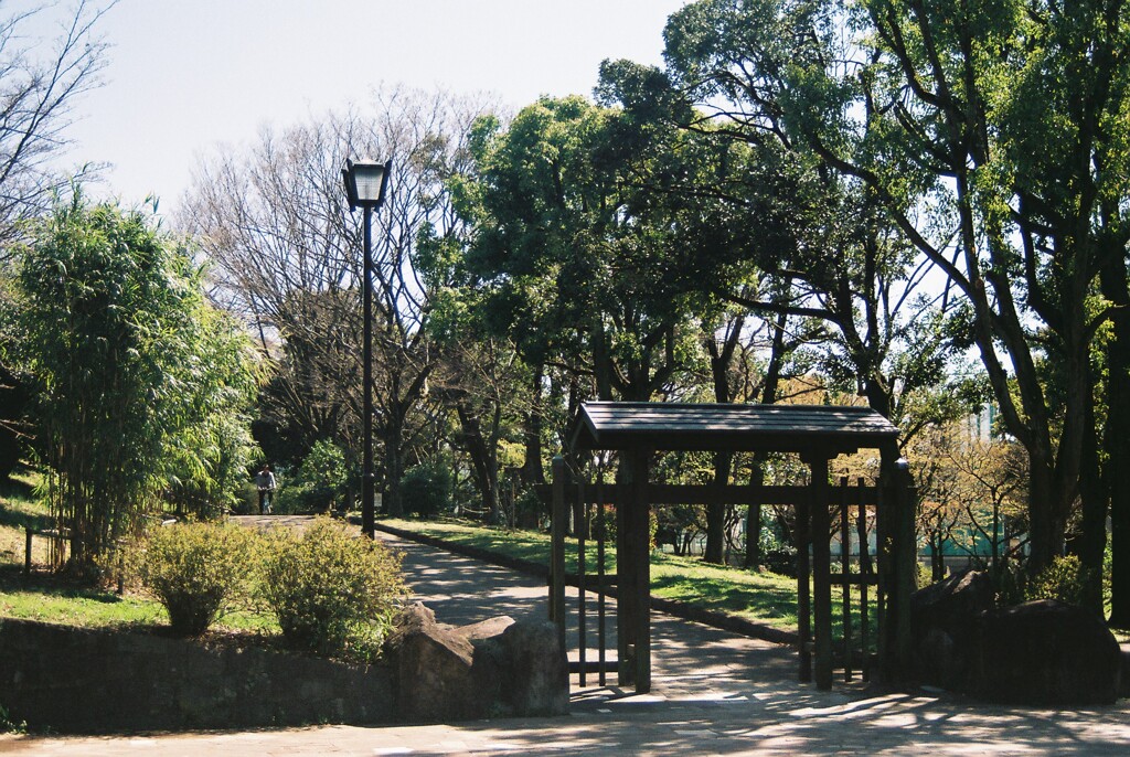 公園散策06