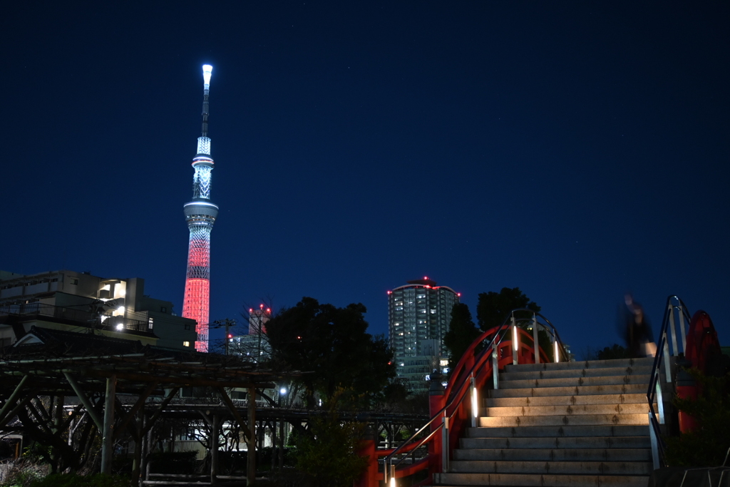 スカイツリー04