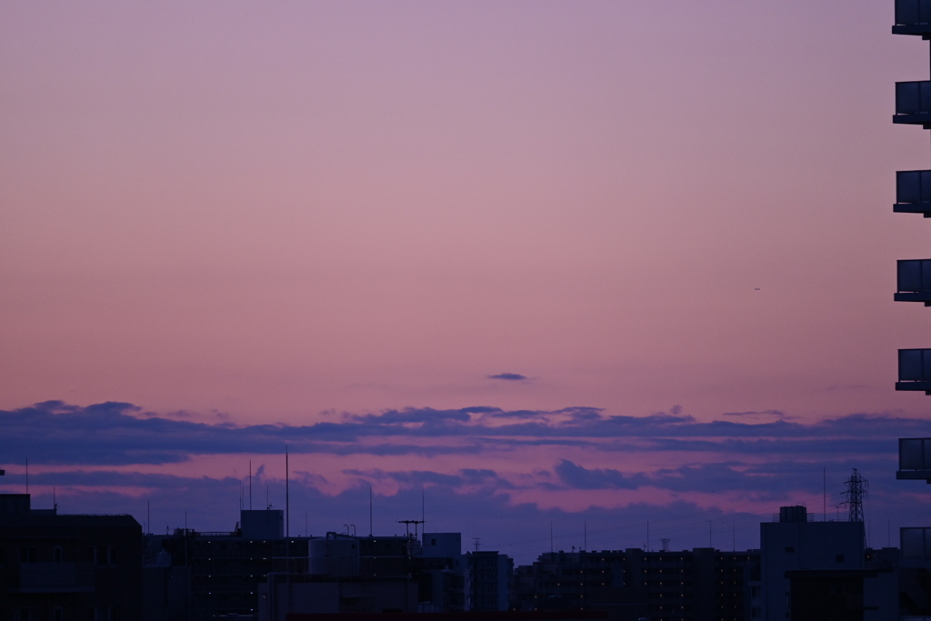 朝焼けの海