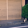 お散歩06