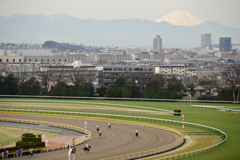 東京競馬場03