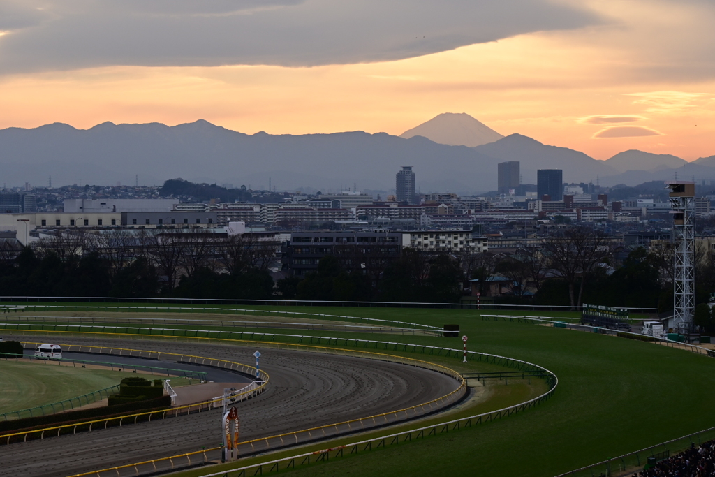 東京競馬場05