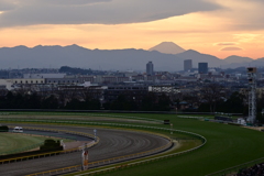 東京競馬場05