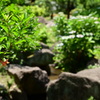 お散歩10