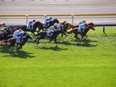 東京競馬場01