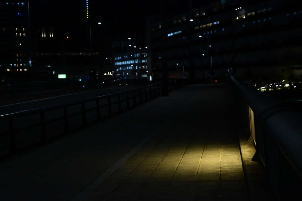 江東湾岸12