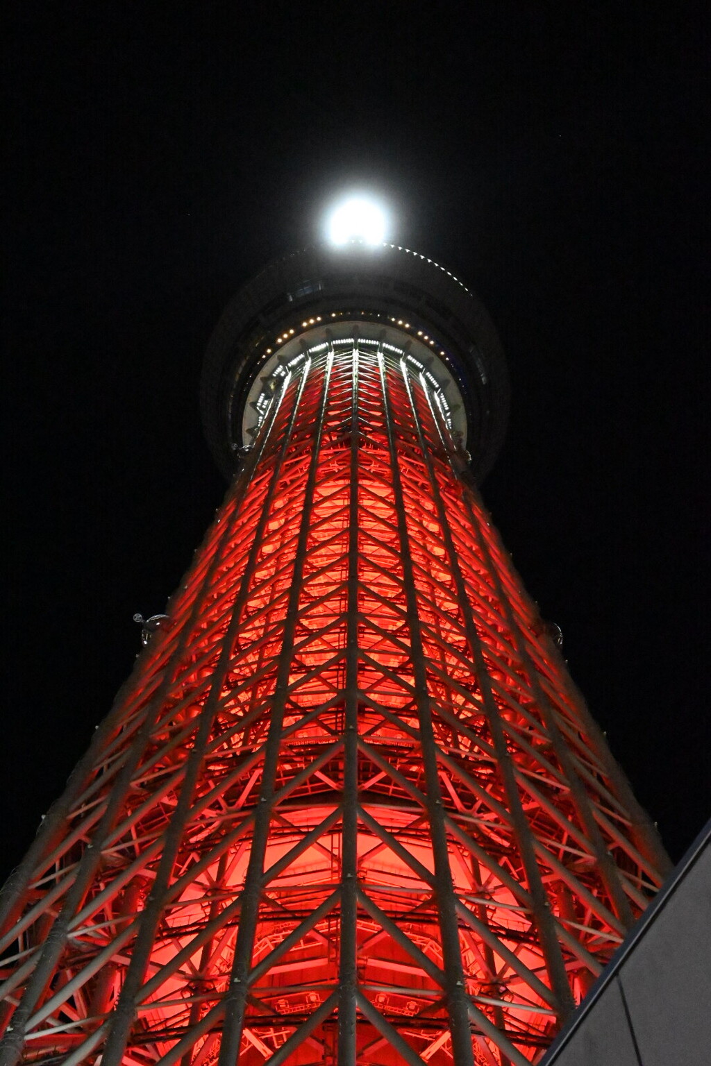 スカイツリー01