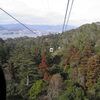 宮島01