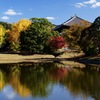 鏡池