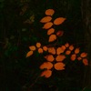 星田園地①